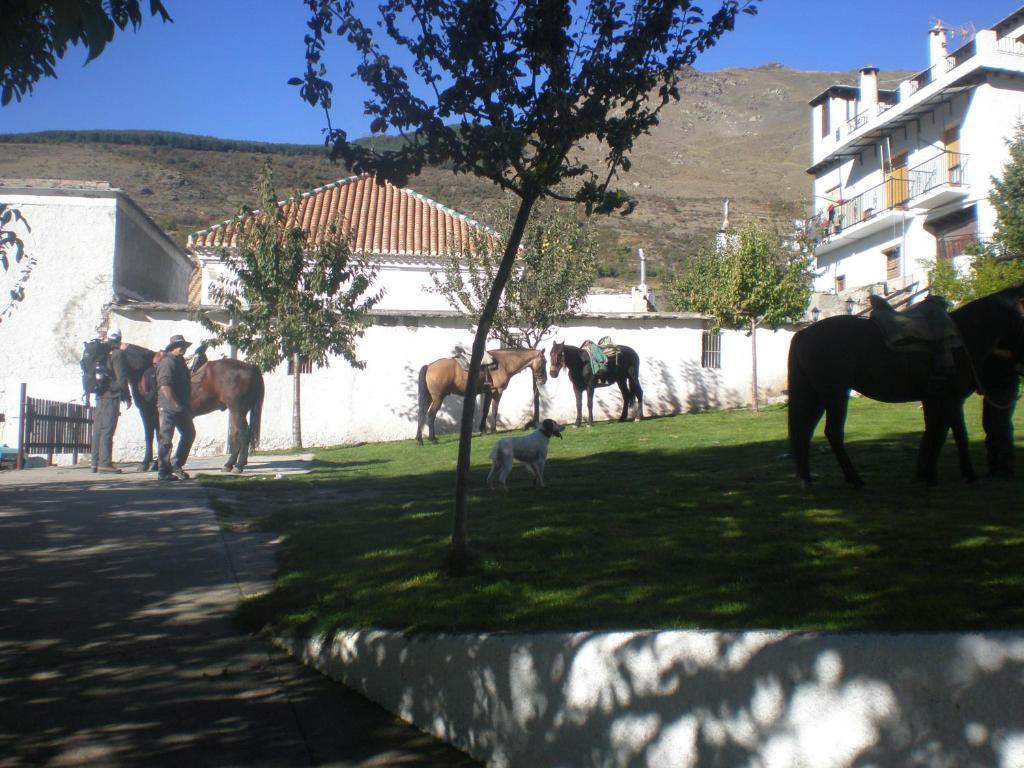 Hotel La Fragua II Trevélez Zewnętrze zdjęcie